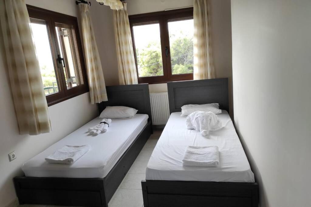 הוילה Artemis Penthouse 10 Minute From National Airport מראה חיצוני תמונה
