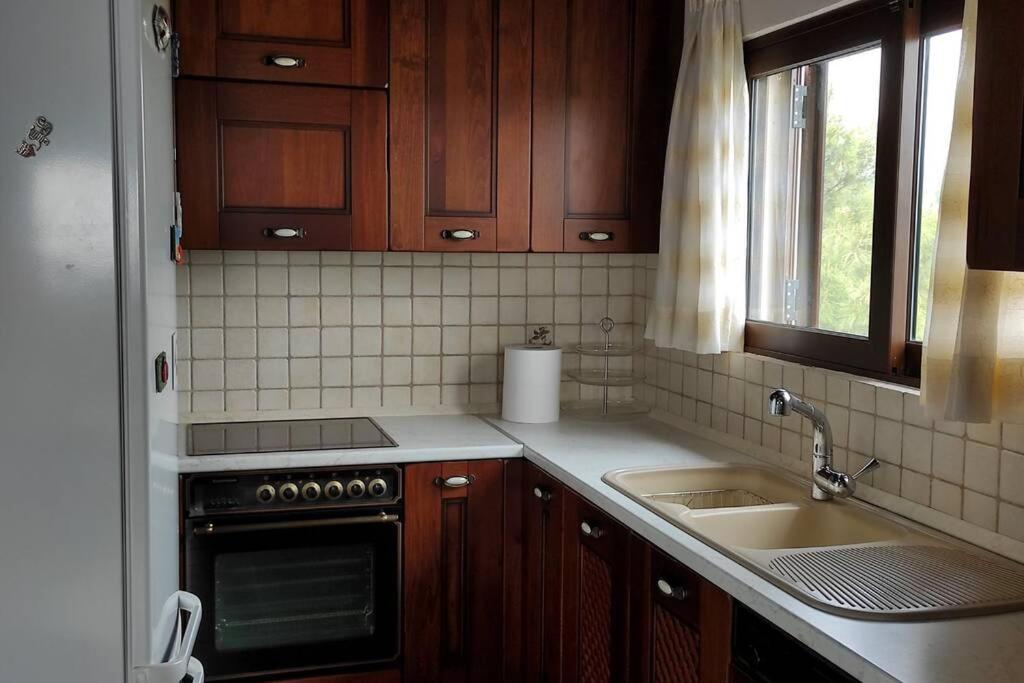 הוילה Artemis Penthouse 10 Minute From National Airport מראה חיצוני תמונה