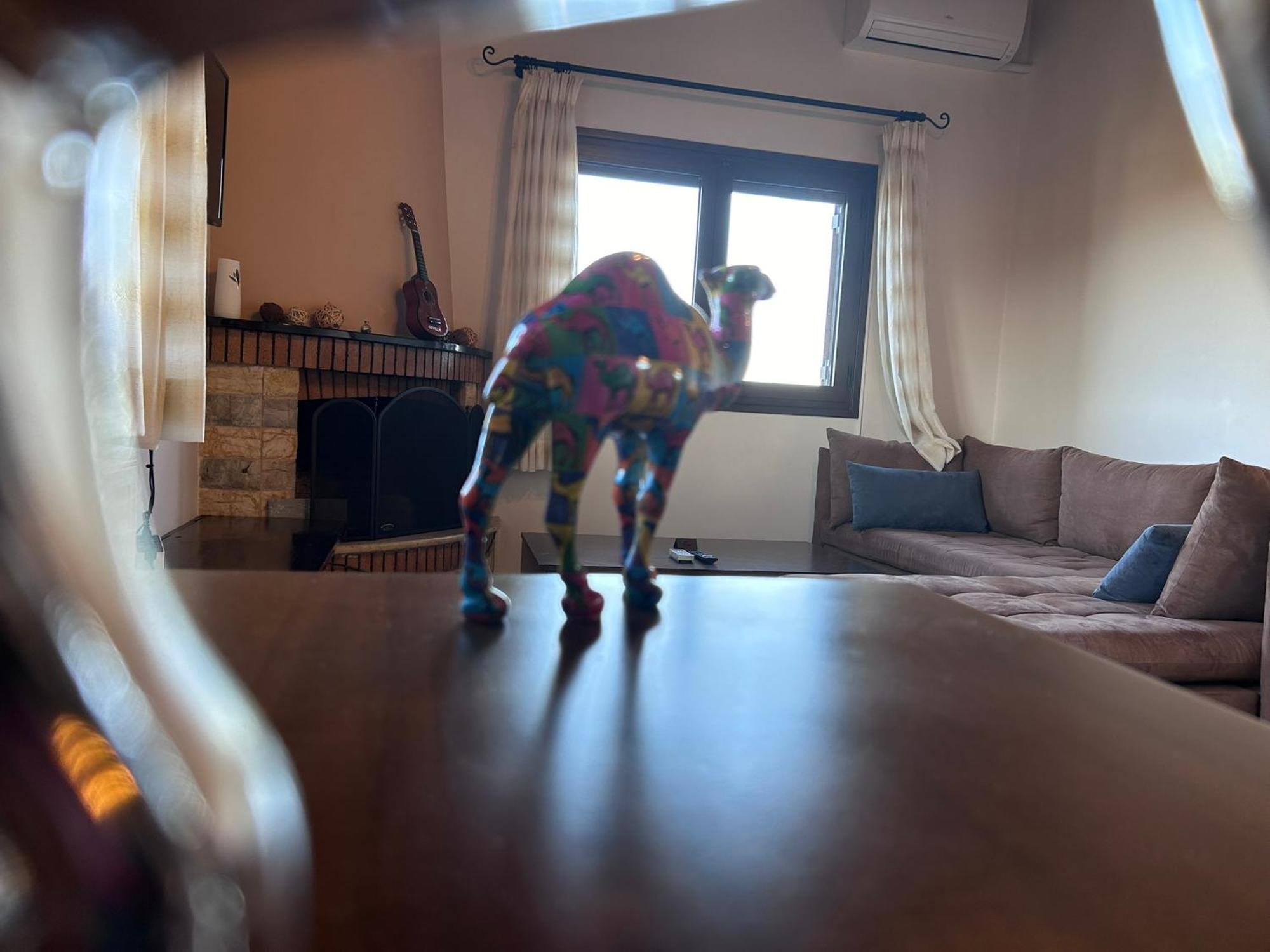 הוילה Artemis Penthouse 10 Minute From National Airport מראה חיצוני תמונה